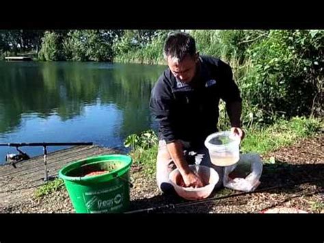 Understanding Bird Food Baits 